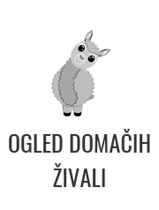 MiniZoo3
